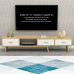 Scandinavian Modern TV Stand Coffee Table Set