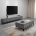 Scandinavian Minimalist TV Stand Coffee Table Set