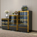 Modern Luxury 354 Storage Cabinet