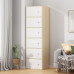 Five Drawer Storage Cabinet Small for Living Room Five Drawer Storage Cabinet Small for Living Room