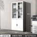Wood Office File Cabinet modern minimalistic glass door floor storage cabinet