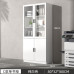 Wood Office File Cabinet modern minimalistic glass door floor storage cabinet