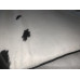 Le Corbusier Lc4 Chaise Lounge Chair Cushion And Strap In Cowhide Leather Le Corbusier Lc4 Chaise Lounge Chair Cushion And Strap In Cowhide Leather