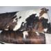 Le Corbusier LC4 Chaise Lounge Chair Cushion and Strap in Tri-Color Pony Skin Leather